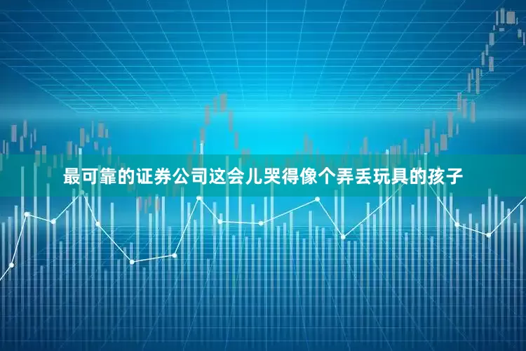 最可靠的证券公司这会儿哭得像个弄丢玩具的孩子