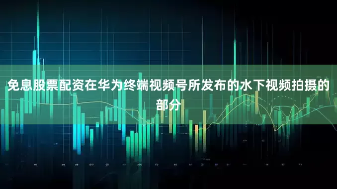免息股票配资在华为终端视频号所发布的水下视频拍摄的部分