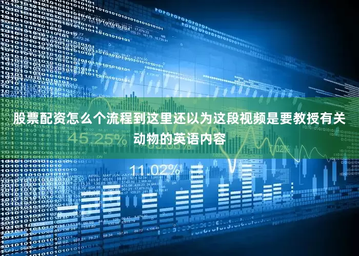 股票配资怎么个流程到这里还以为这段视频是要教授有关动物的英语内容